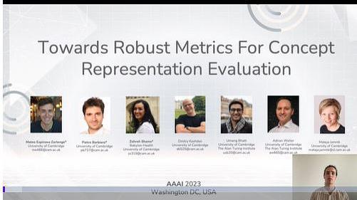 Towards Robust Metrics for Concept Representation Evaluation