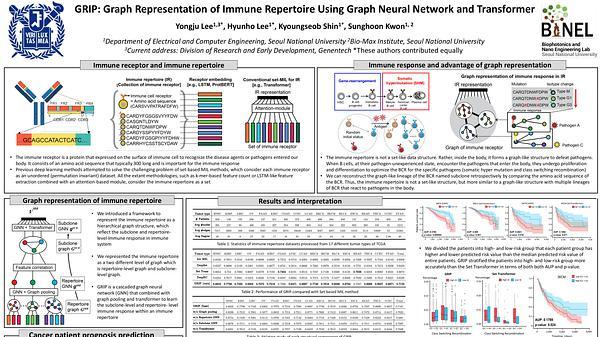 GRIP: Graph representation of immune repertoire using graph neural network and transformer