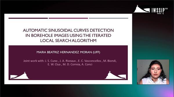 Automatic Sinusoidal Curves Detection in Borehole Images Using the Iterated Local Search Algorithm