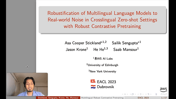 Robustification of Multilingual Language Models to Real-world Noise in Crosslingual Zero-shot Settings with Robust Contrastive Pretraining