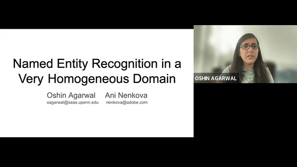 Named Entity Recognition in a Very Homogenous Domain