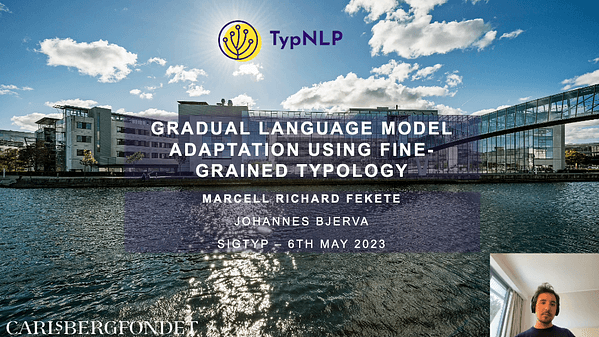 Gradual Language Model Adaptation Using Fine-Grained Typology