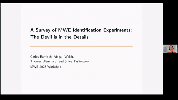 A Survey of MWE Identification Experiments: The Devil is in the Details