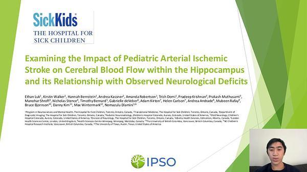 Examining the Impact of Pediatric Arterial Ischemic Stroke on Cerebral Blood Flow within the Hippocampus and its Relationship with Observed Neurological Deficits