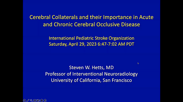 Cerebral Collaterals and their Importance in Acute and Chronic Cerebral Occlusive Disease