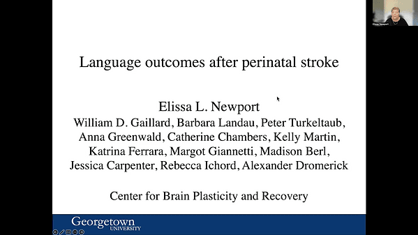 Language Outcomes After Perinatal Stroke