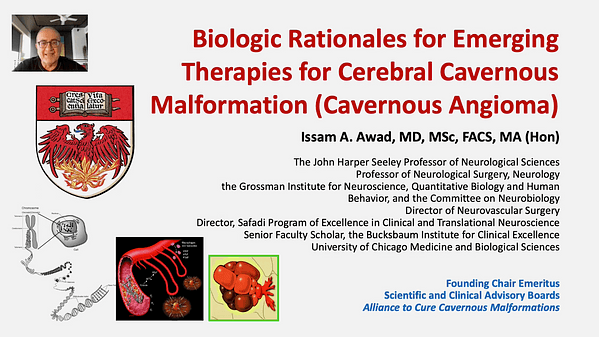 Biologic Rationales for the Emerging Therapies for Cerebral Cavernous Malformations