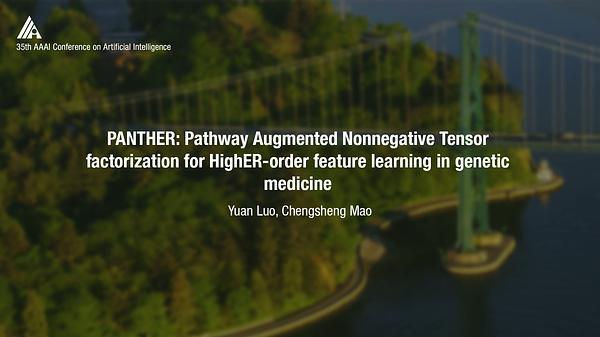 PANTHER: Pathway Augmented Nonnegative Tensor Factorization for HighER-Order Feature Learning