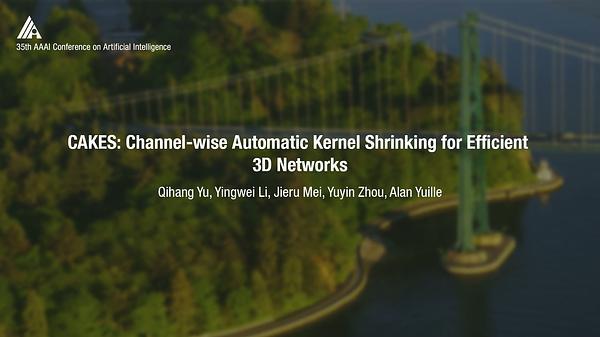 CAKES: Channel-Wise Automatic Kernel Shrinking for Efficient 3D Networks