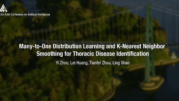 Many-to-One Distribution Learning and K-Nearest Neighbor Smoothing for Thoracic Disease Identification