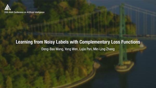 Learning from Noisy Labels with Complementary Loss Functions
