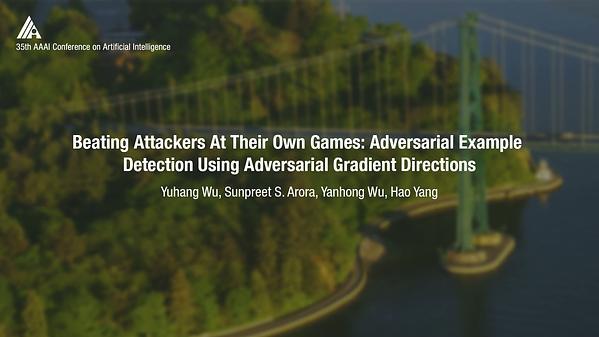 Beating Attackers at Their Own Games: Adversarial Example Detection Using Adversarial Gradient Directions