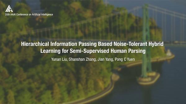 Hierarchical Information Passing Based Noise-Tolerant Hybrid Learning for Semi-Supervised Human Parsing