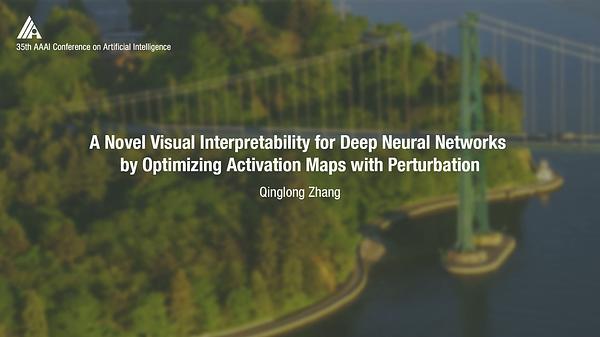 A Novel Visual Interpretability for Deep Neural Networks by Optimizing Activation Maps with Perturbation