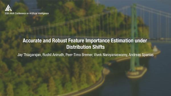 Accurate and Robust Feature Importance Estimation under Distribution Shifts