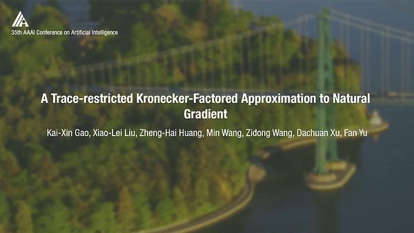 A Trace-Restricted Kronecker-Factored Approximation to Natural Gradient
