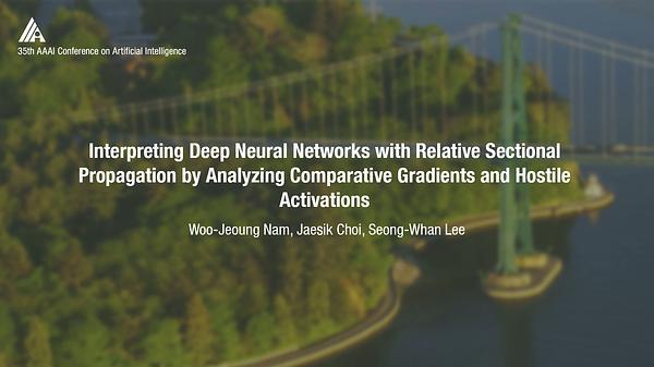 Interpreting Deep Neural Networks with Relative Sectional Propagation by Analyzing Comparative Gradients and Hostile Activations