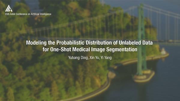 Modeling the Probabilistic Distribution of Unlabeled Data for One-Shot Medical Image Segmentation