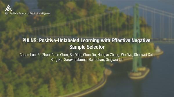 PULNS: Positive-Unlabeled Learning with Effective Negative Sample Selector