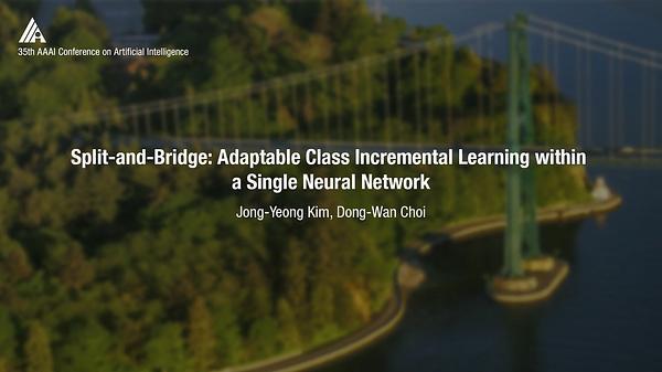 Split-and-Bridge: Adaptable Class Incremental Learning within a Single Neural Network
