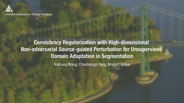 Consistency Regularization with High-Dimensional Non-Adversarial Source-Guided Perturbation for Unsupervised Domain Adaptation in Segmentation