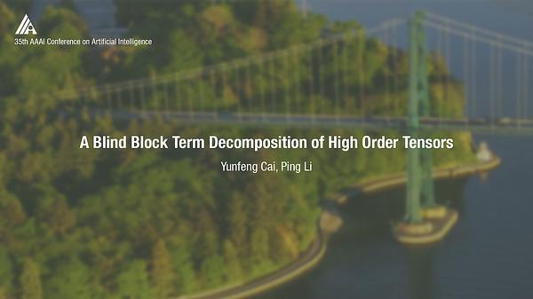 A Blind Block Term Decomposition of High Order Tensors