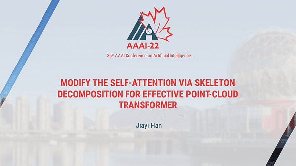 Modify Self-Attention via Skeleton Decomposition for Effective Point Cloud Transformer