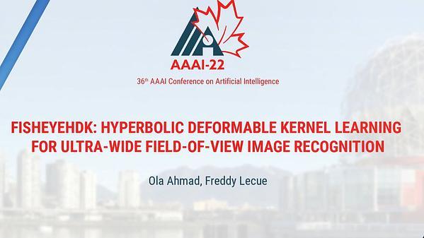 FisheyeHDK: Hyperbolic Deformable Kernel Learning for Ultra-Wide Field-of-View Image Recognition