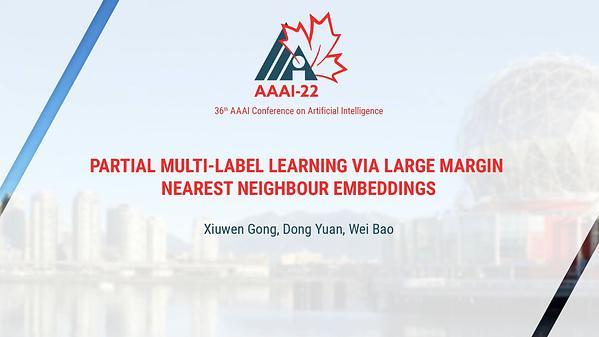 Partial Multi-Label Learning via Large Margin Nearest Neighbour Embeddings