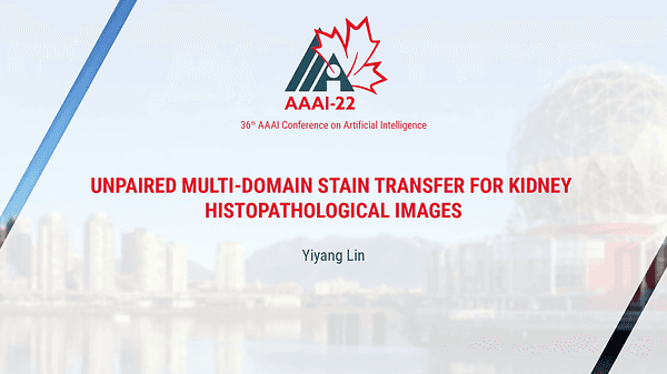 Unpaired Multi-Domain Stain Transfer for Kidney Histopathological Images