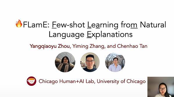 FLamE: Few-shot Learning from Natural Language Explanations