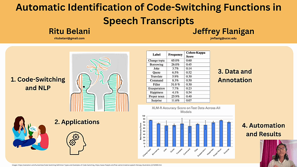 Automatic Identification of Code-Switching Functions in Speech Transcripts