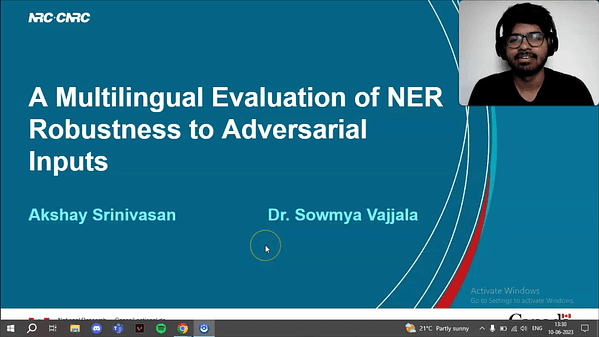 A Multilingual Evaluation of NER Robustness to Adversarial Inputs