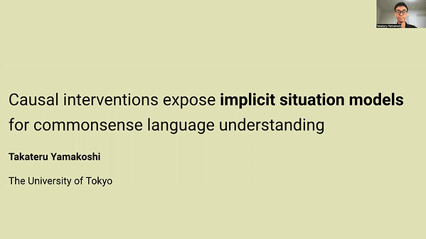Causal interventions expose implicit situation models for commonsense language understanding