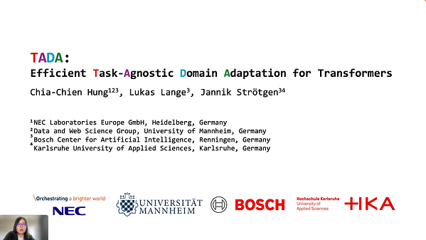 TADA: Efficient Task-Agnostic Domain Adaptation for Transformers