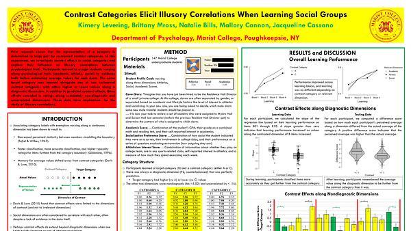 Contrast Categories Elicit Illusory Correlations When Learning Social Groups