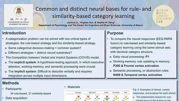 Common and distinct neural bases for rule- and similarity-based category learning