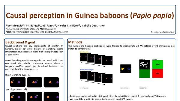 Causal perception in Guinea Baboons (Papio papio)