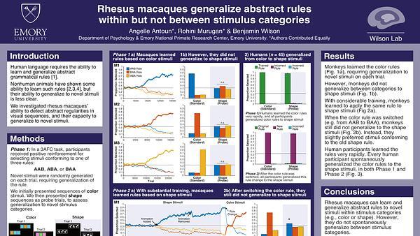 Rhesus macaques generalize abstract rules within but not between stimulus categories