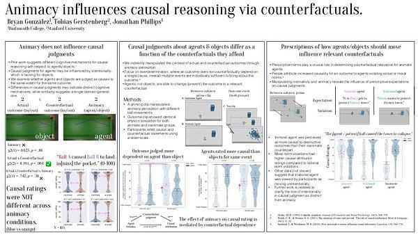 Causal Reasoning Across Agents and Objects