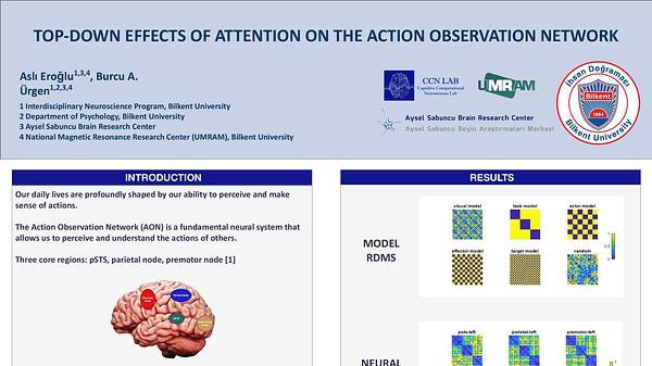 Top-down effects of attention on the action observation network