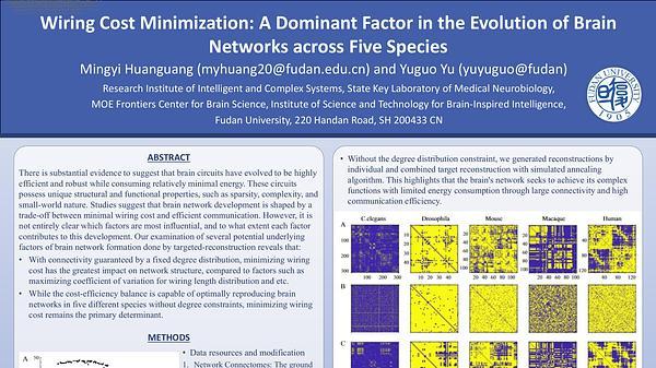 Wiring Cost Minimization: A Dominant Factor in the Evolution of Brain Networks across Five Species