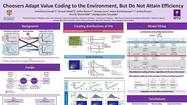 Choosers Adapt Value Coding to the Environment, But Do Not Attain Efficiency