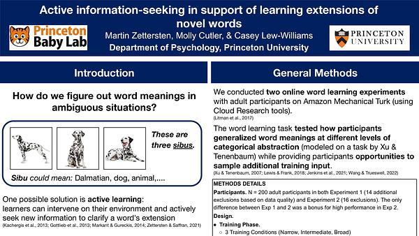 Active information-seeking in support of learning extensions of novel words