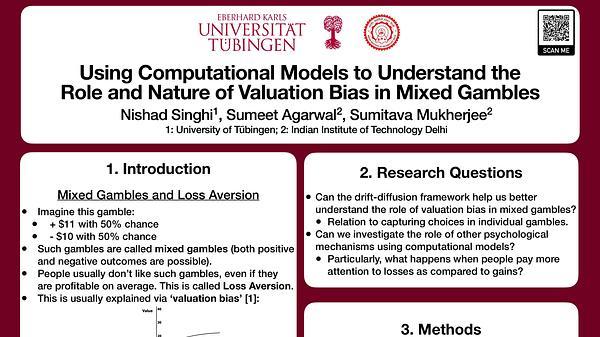 Using Computational Models to Understand the Role and Nature of Valuation Bias in Mixed Gambles