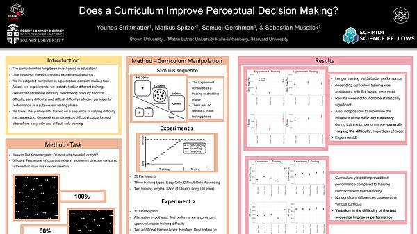 Does a Curriculum Improve Perceptual Decision Making?