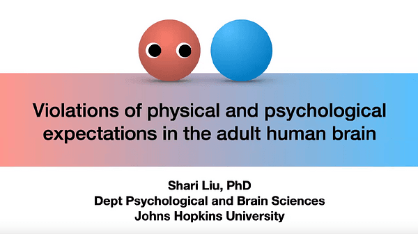 Domain-specific and domain-general neural responses to surprising psychological and physical events