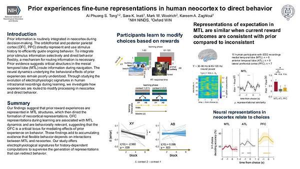 Prior experiences fine-tune representations in human neocortex to direct behavior