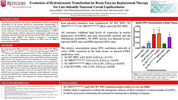 Evaluation of Hydrodynamic Transfection for Brain Enzyme Replacement Therapy for Late-Infantile Neuronal Ceroid Lipofuscinosis