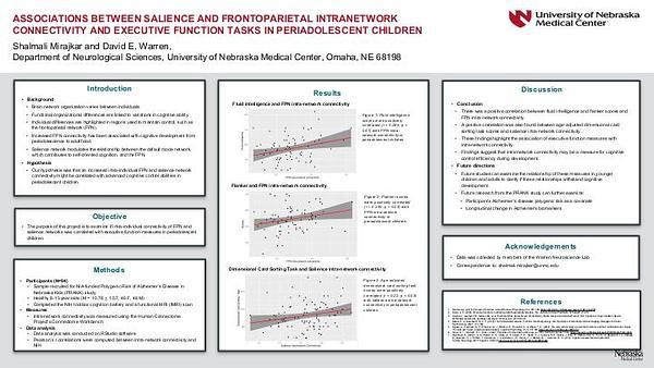 Associations between salience and frontoparietal intranetwork connectivity and executive functions tasks in periadolescent children.